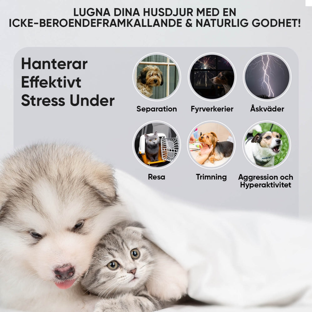 ani-hemp-oil-60ml-se-04