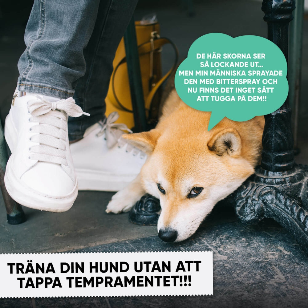 animigo-anti-chew-spray-se-05.jpg