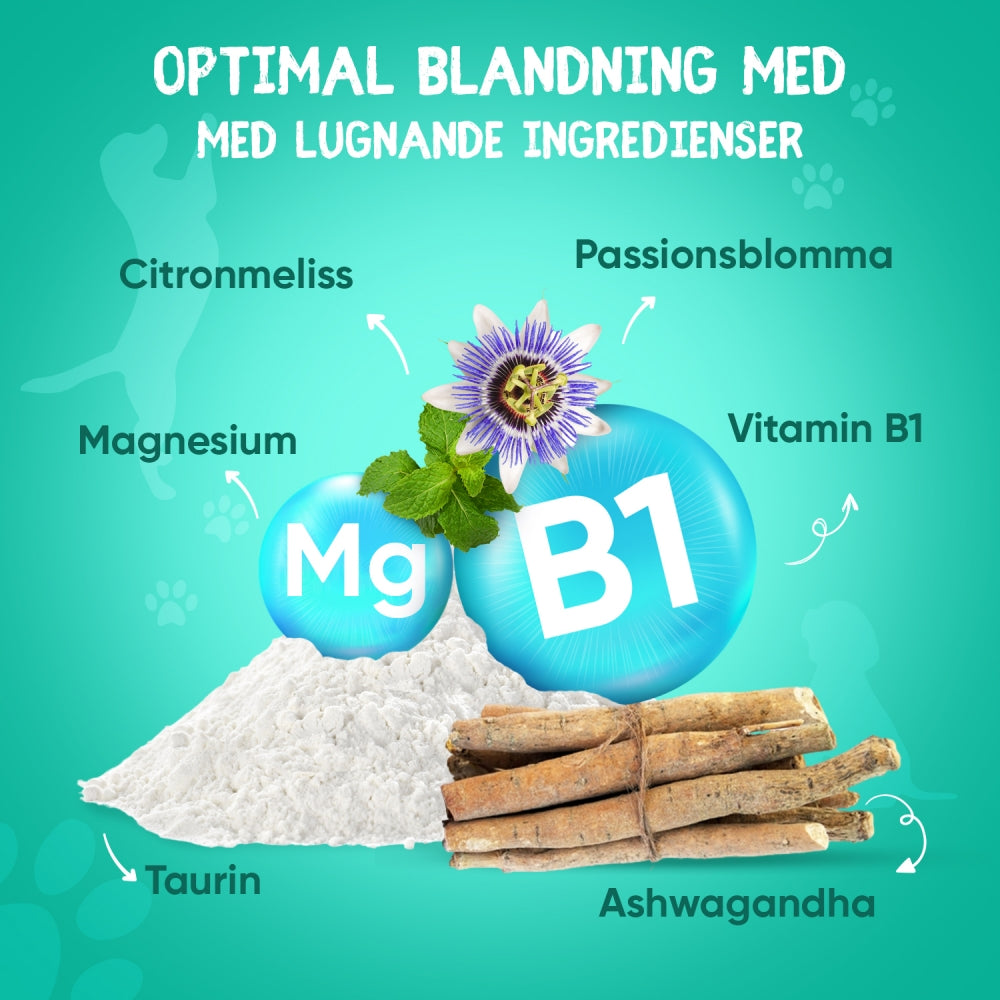 calming-aid-120-caps-se-2