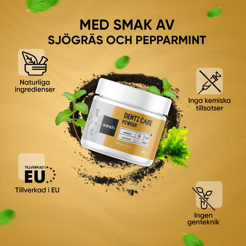 En burk med Animigos Denti-Care 350 g omgiven av sjögräs och pepparmint