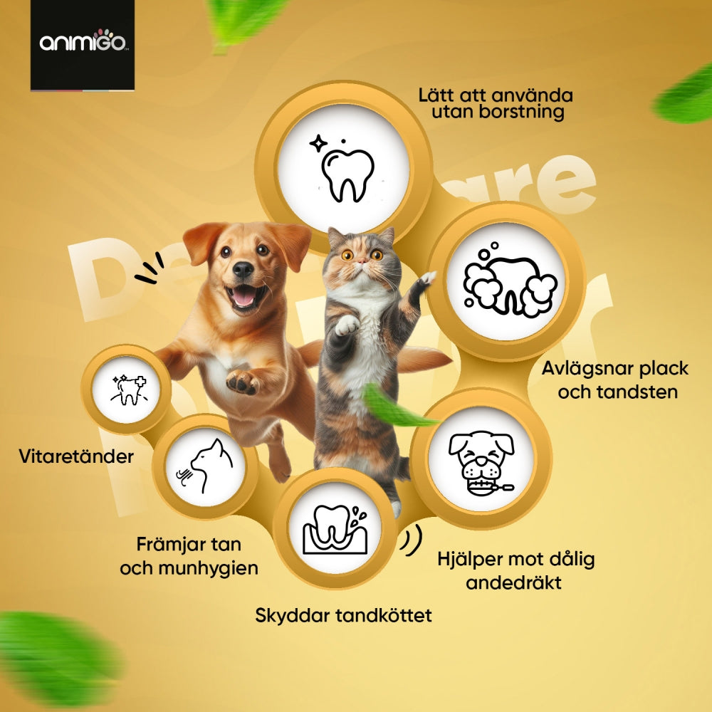 Bilden visar en energisk hund och katt och de fördelar som Animigos Denti-Care kan ge