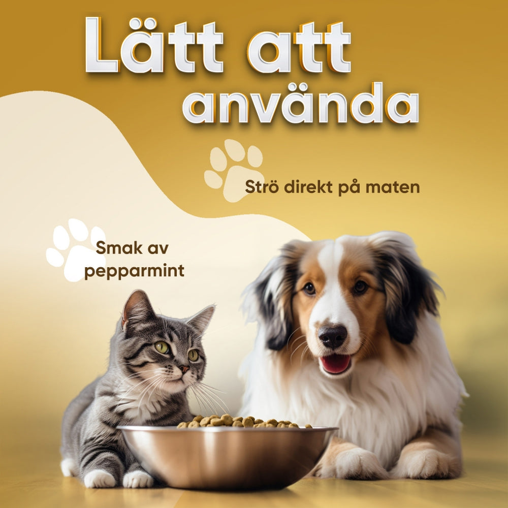 Bilden visar en hund och katt tillsammans vid en fylld matskål