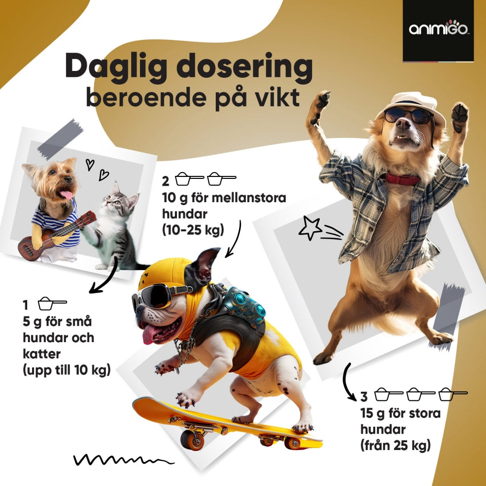 Bilden visar 3 hundar och 1 katt i roliga situationer, och beskriver hur Animigos Denti-Care ska doseras