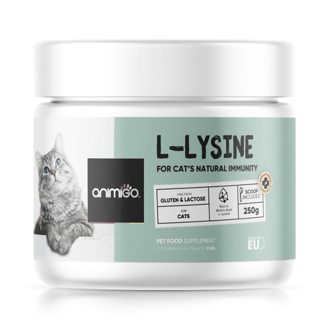 L-Lysin Pulver