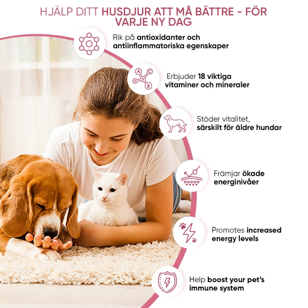 multivitamins-and-minerals-for-dogs-cat-se-02.jpg
