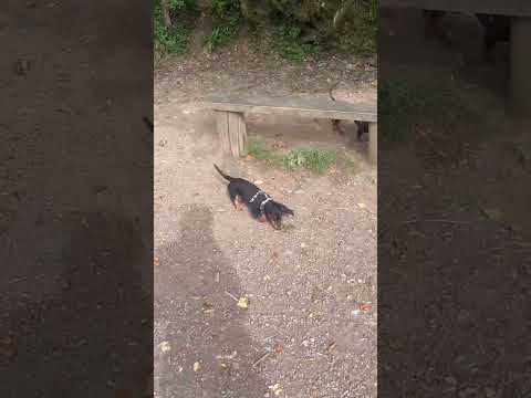 3RleBSA2WzQ?feature=shared