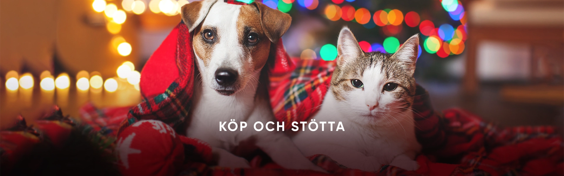 Christmas Offer