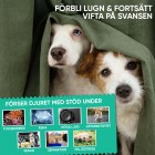 lugnande tabletter till hund som är lätta att ge