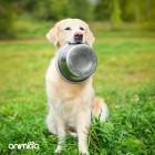 Ett skonsamt kosttillskott som kan hjälpa hundar med en balanserad matsmätlning