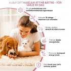 vitaminer till hund för ökat välmående