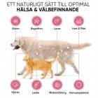 b vitamin hund tillskott