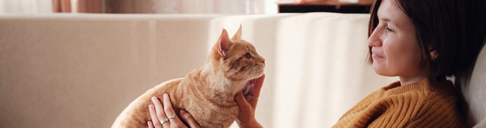 En avslappnad katt i mental balans söker aktivt din kontakt.