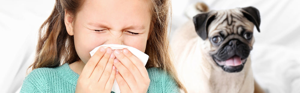 Är allergier ärftliga?