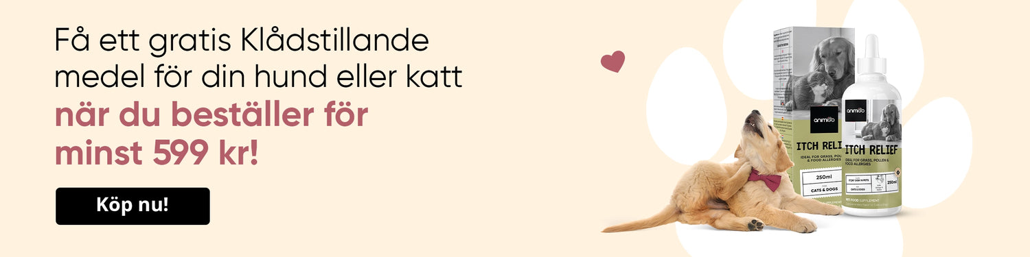 Gratis gåva från 599 kr
