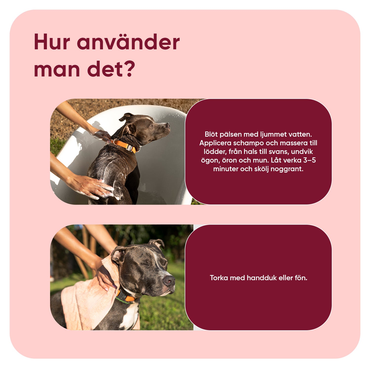 Lopp- & Fästingschampo för Hundar 500ml