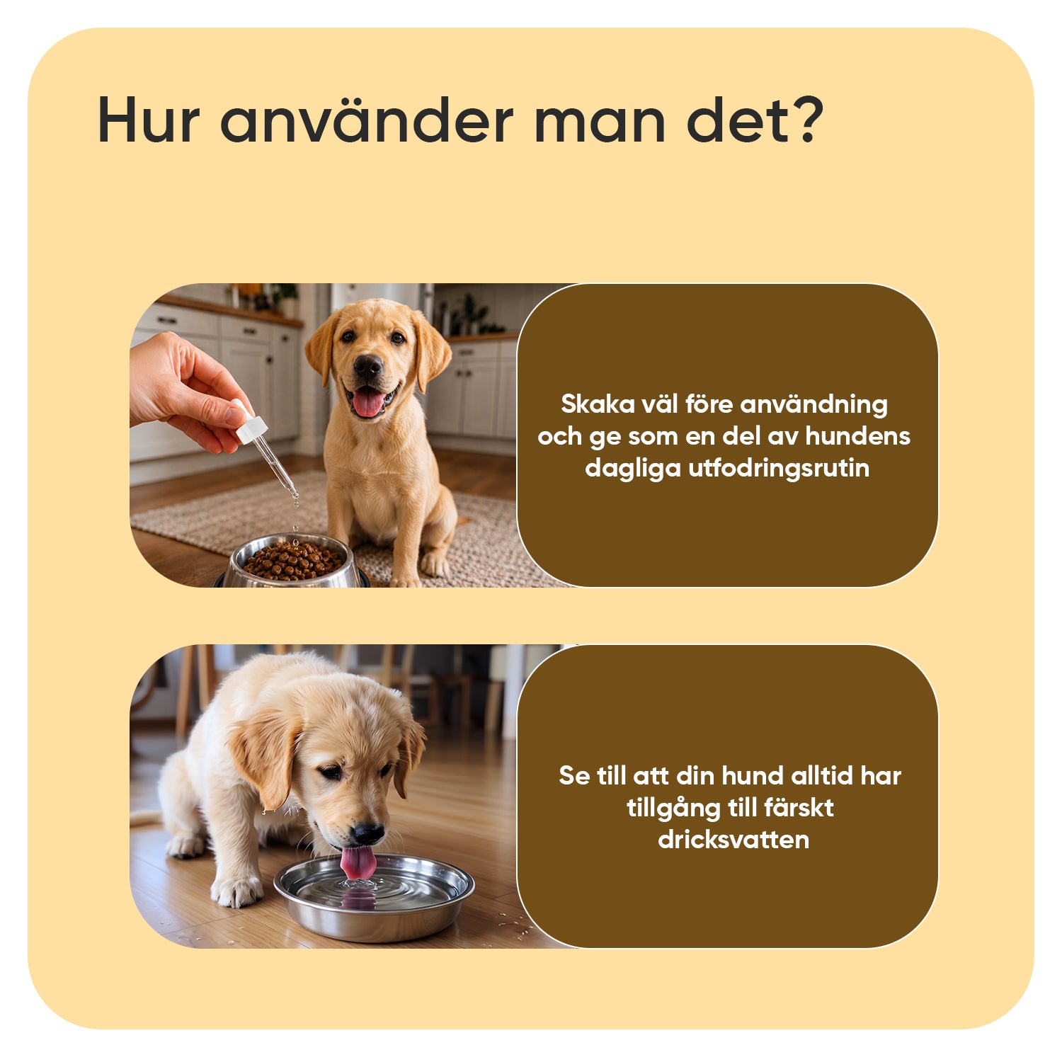 Klådalindring för hundar 250 ml flytande tillskott