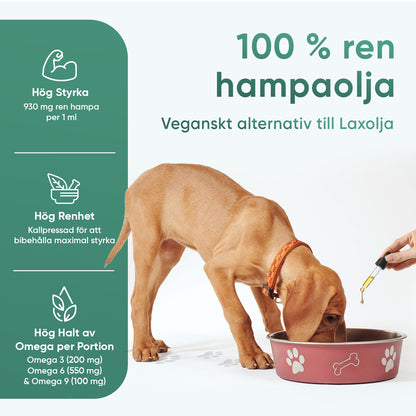Hampaolja för hund