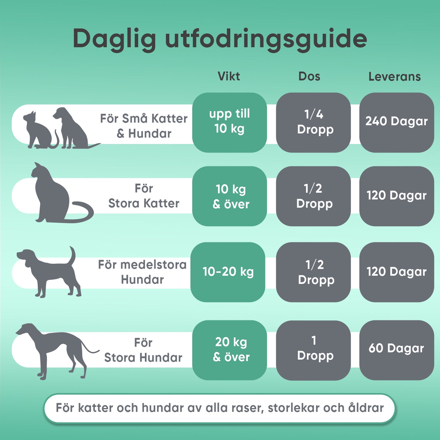 Hampaolja för hund