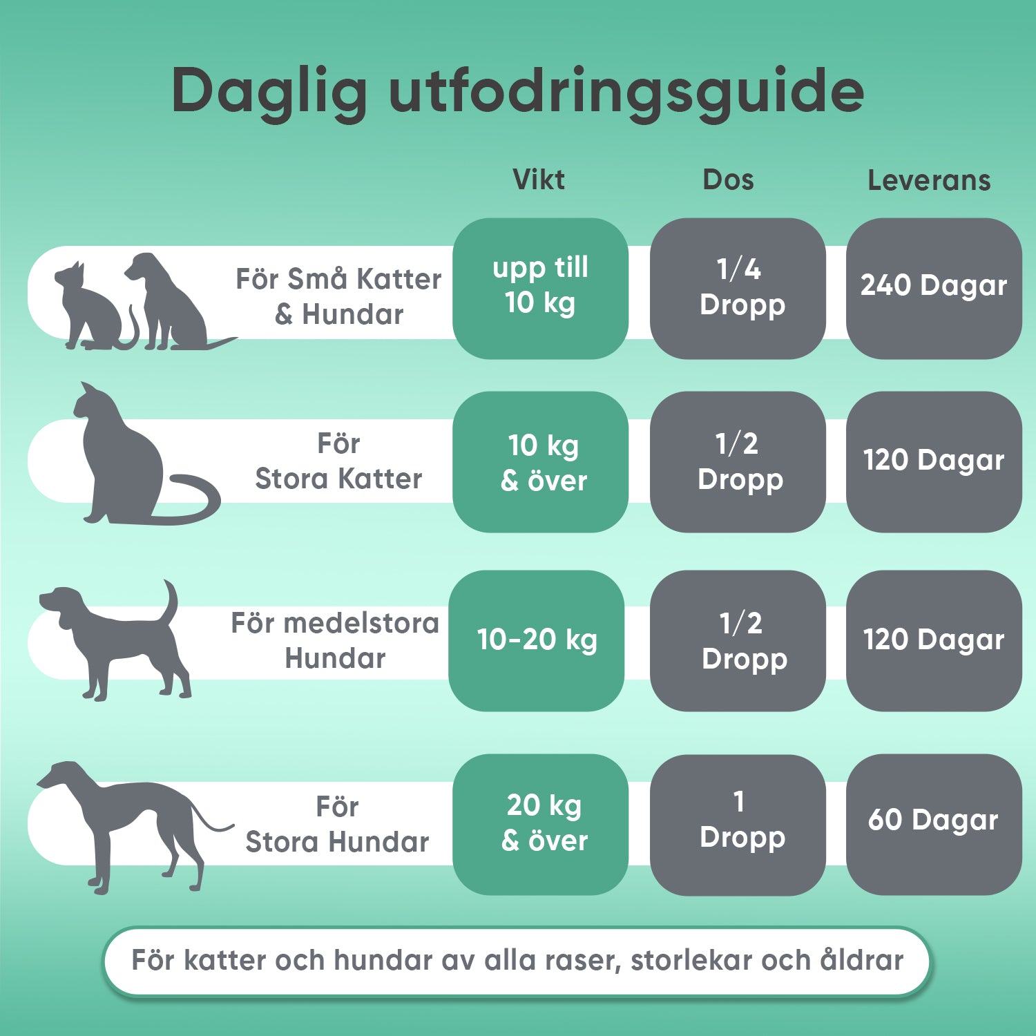 Hampaolja för hund