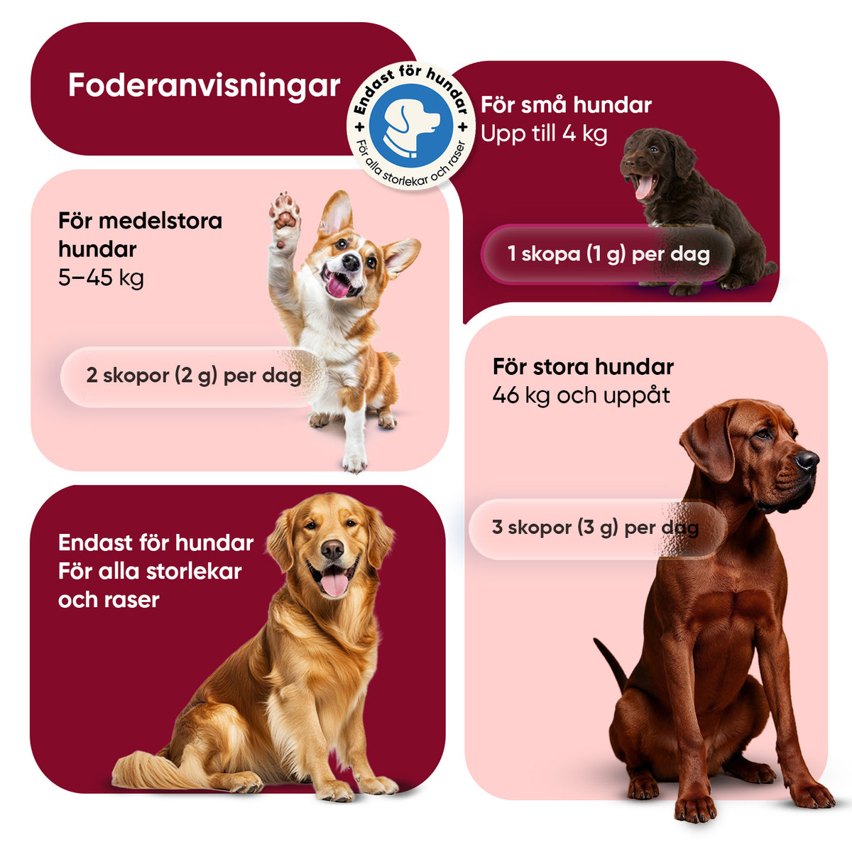 Lopp- och fästingpulver för hundar