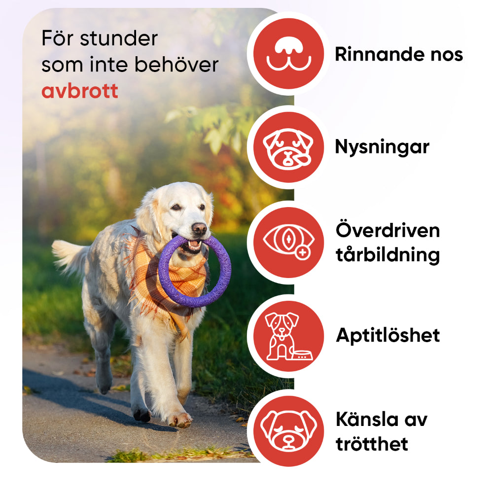 L-lysinpulver för hundar 250 g