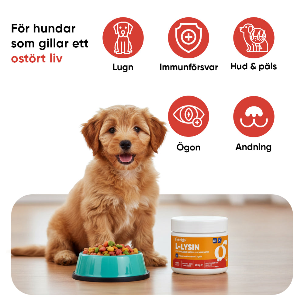 L-lysinpulver för hundar 250 g
