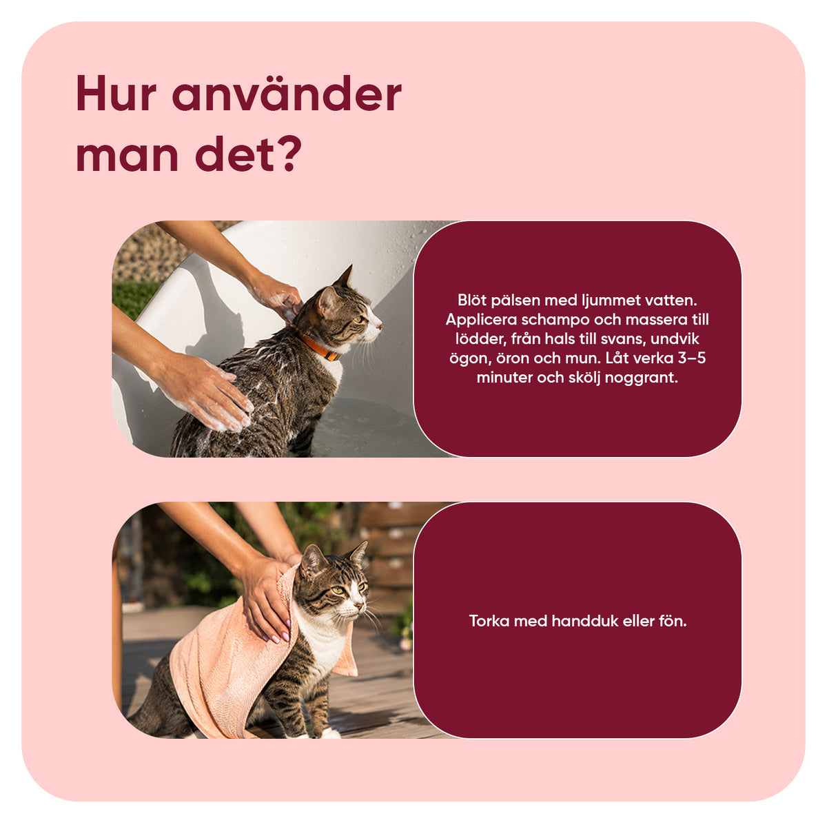Lopps- och fästingschampo för katter 500 ml