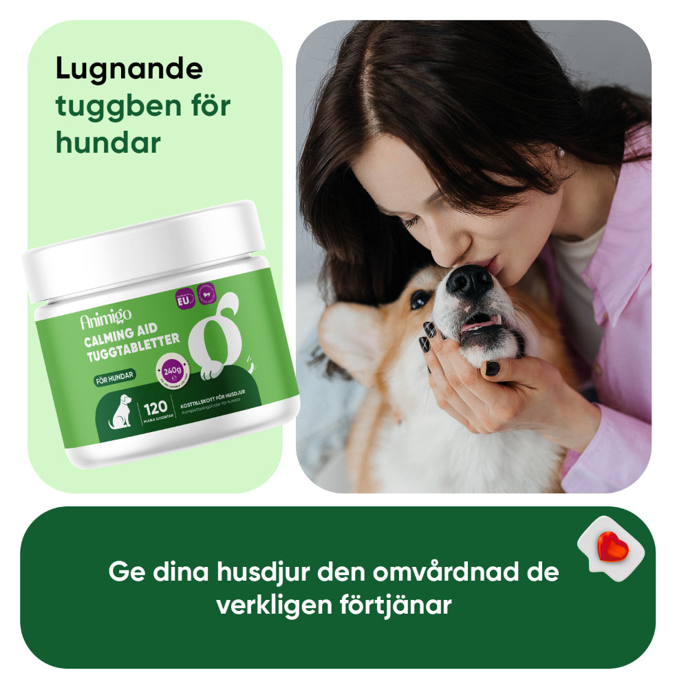 Lugnande tuggtabletter för hundar