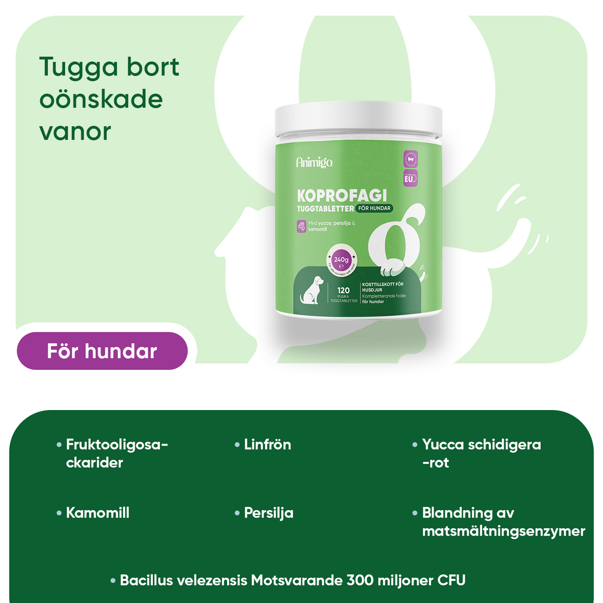 Koprofagi för hundar