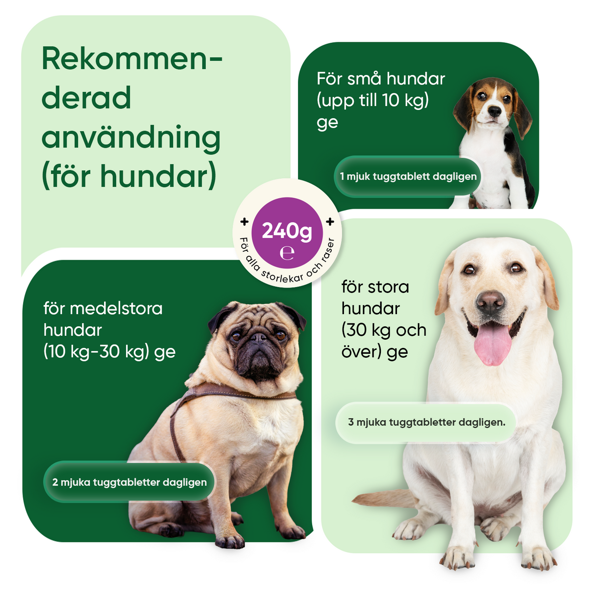 Koprofagi för hundar