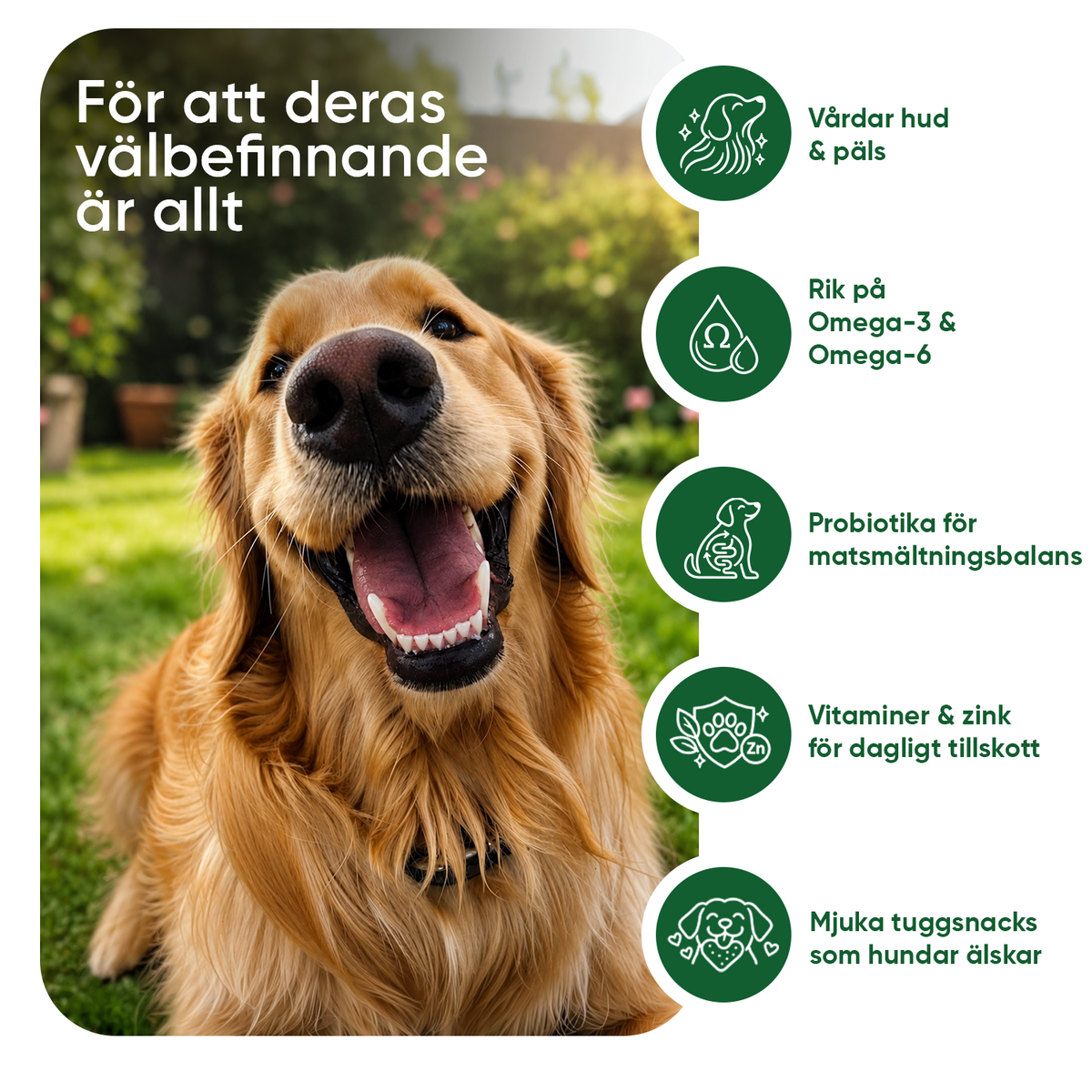 Klåda och immunitet för hundar 120 mjuka godisbitar