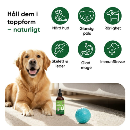 ani-hemp-oil-60ml-new-se-3