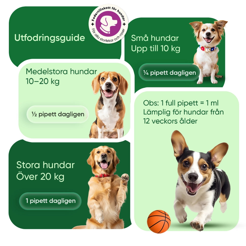 ani-hemp-oil-60ml-new-se-4