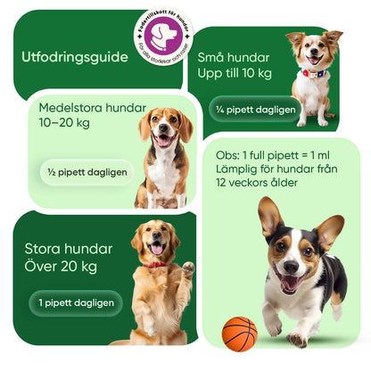 ani-hemp-oil-60ml-new-se-4