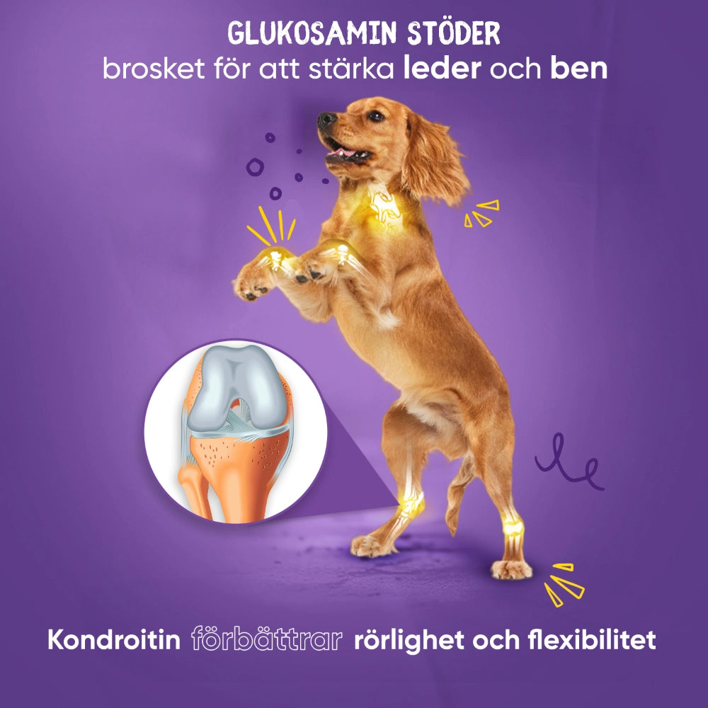 animigo-se-glucosamine-chondroitin-for-dogs-cats-02