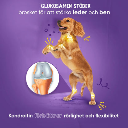 animigo-se-glucosamine-chondroitin-for-dogs-cats-02