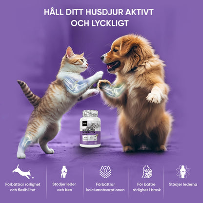 animigo-se-glucosamine-chondroitin-for-dogs-cats-04