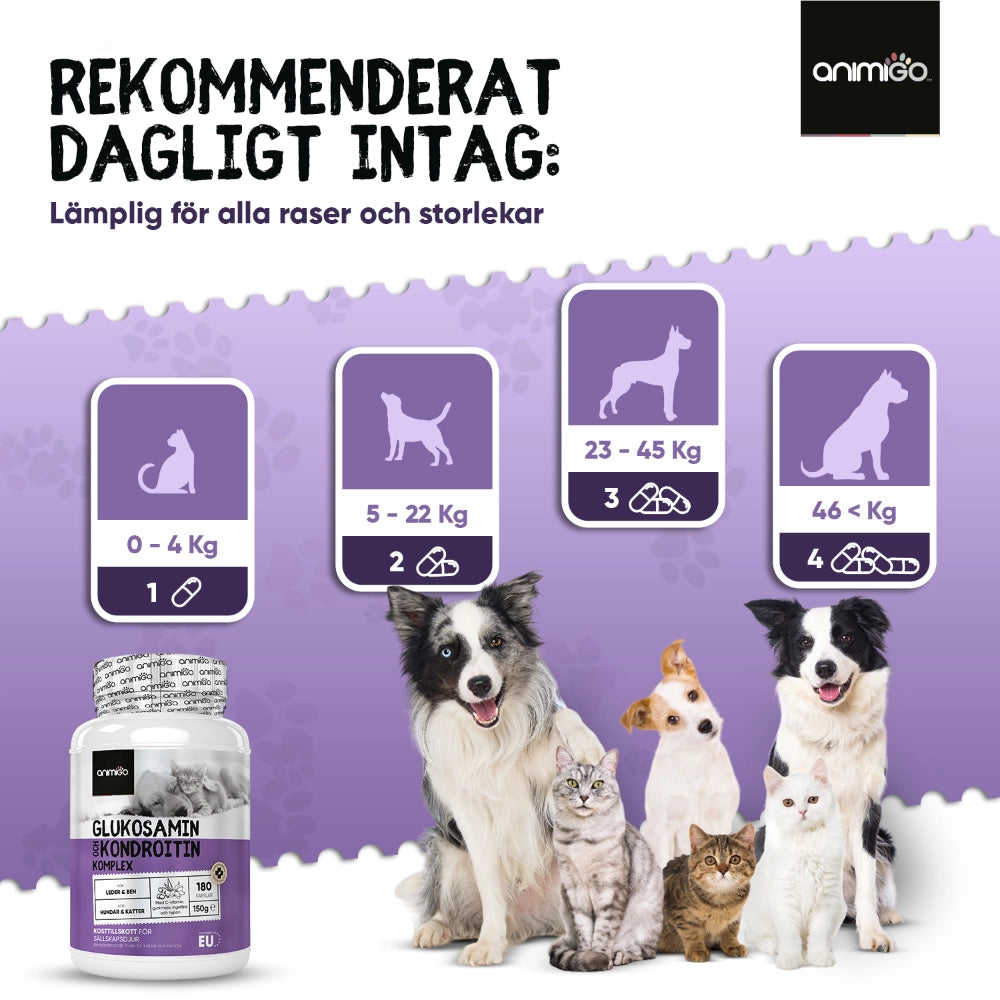 animigo-se-glucosamine-chondroitin-for-dogs-cats-05