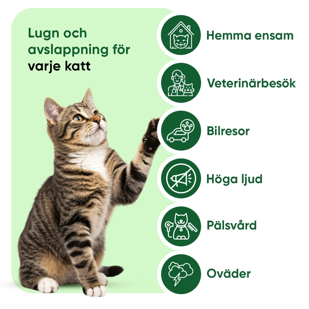animigo-se-hemp-oil-for-cats-55800mg-liquid-bottle-02