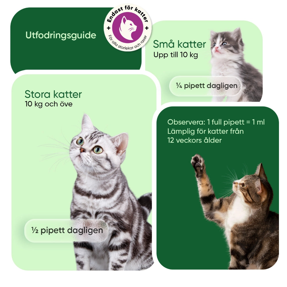 animigo-se-hemp-oil-for-cats-55800mg-liquid-bottle-05