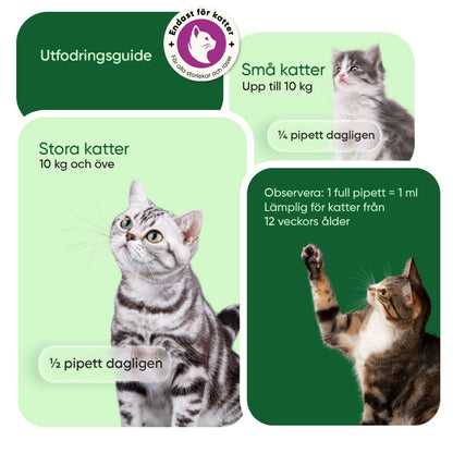 animigo-se-hemp-oil-for-cats-55800mg-liquid-bottle-05