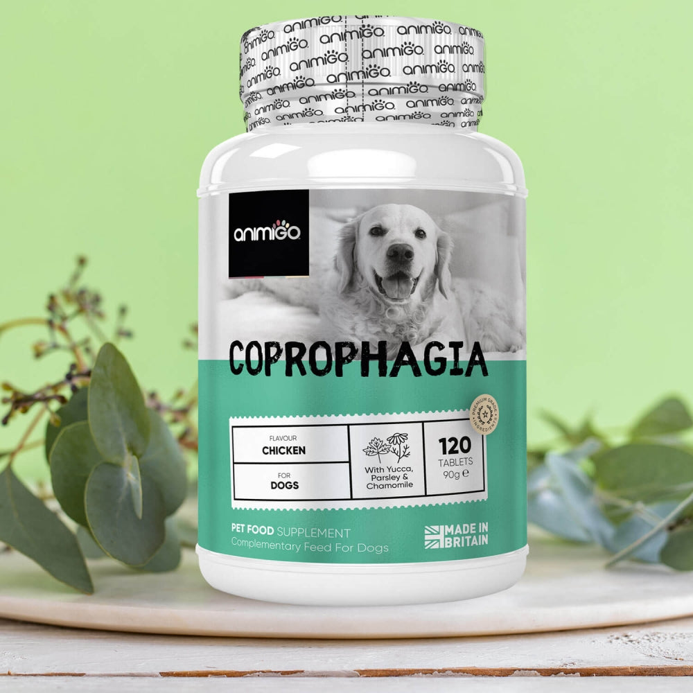 coprophagia-tablet-03--uk