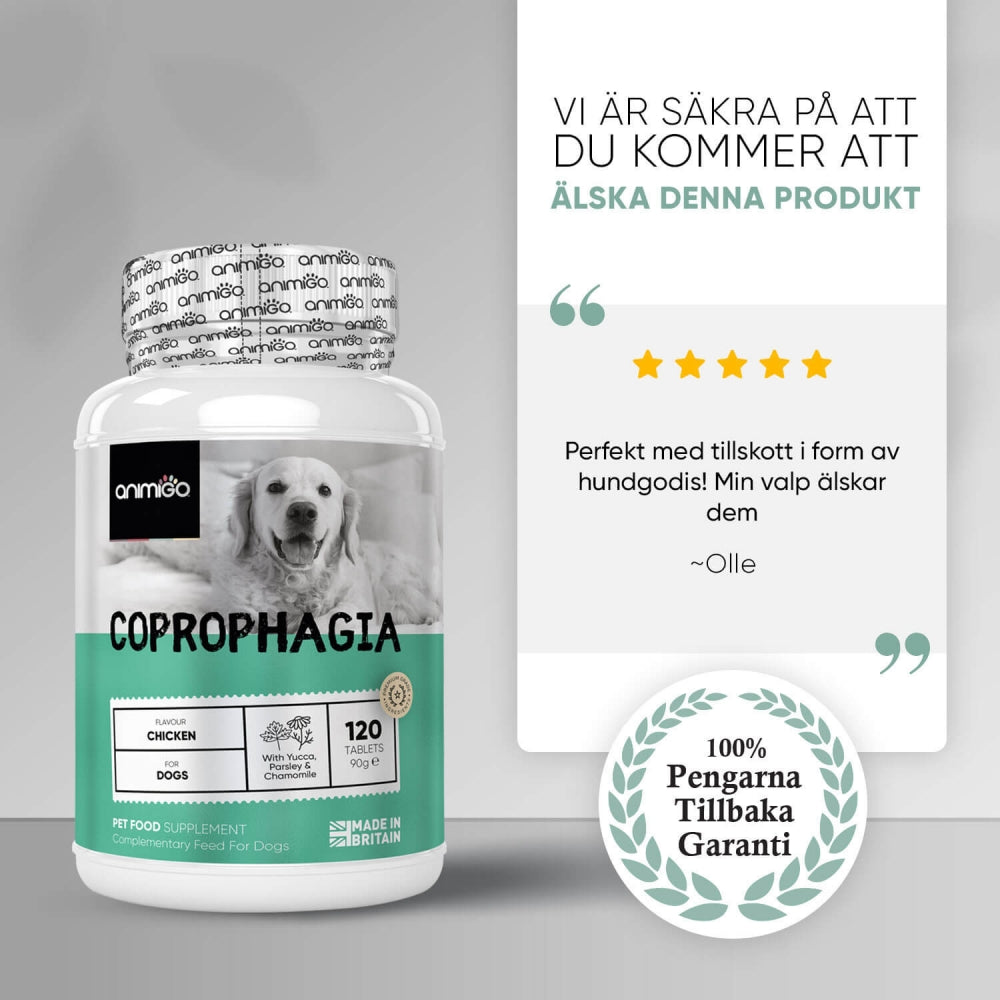 coprophagia-tablet-08--se