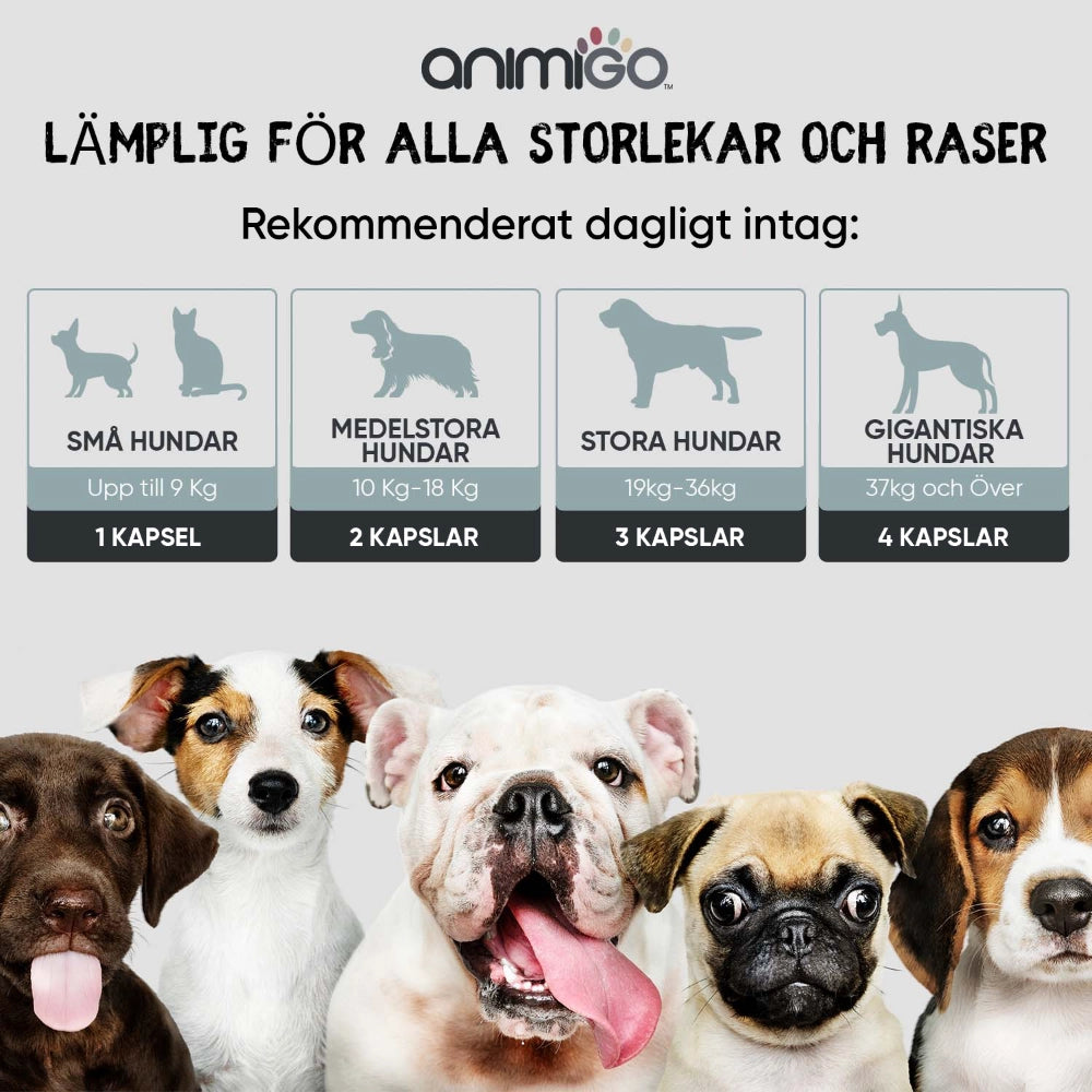 digestive-probiotics-se-bottles-04