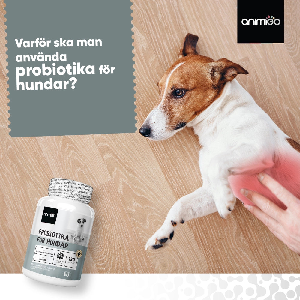 digestive-probiotics-se-bottles-05