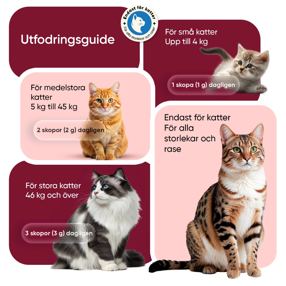 flea-tick-defence-powderse-se-cap-05
