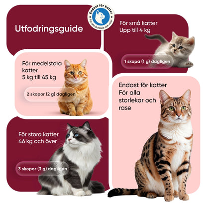 flea-tick-defence-powderse-se-cap-05