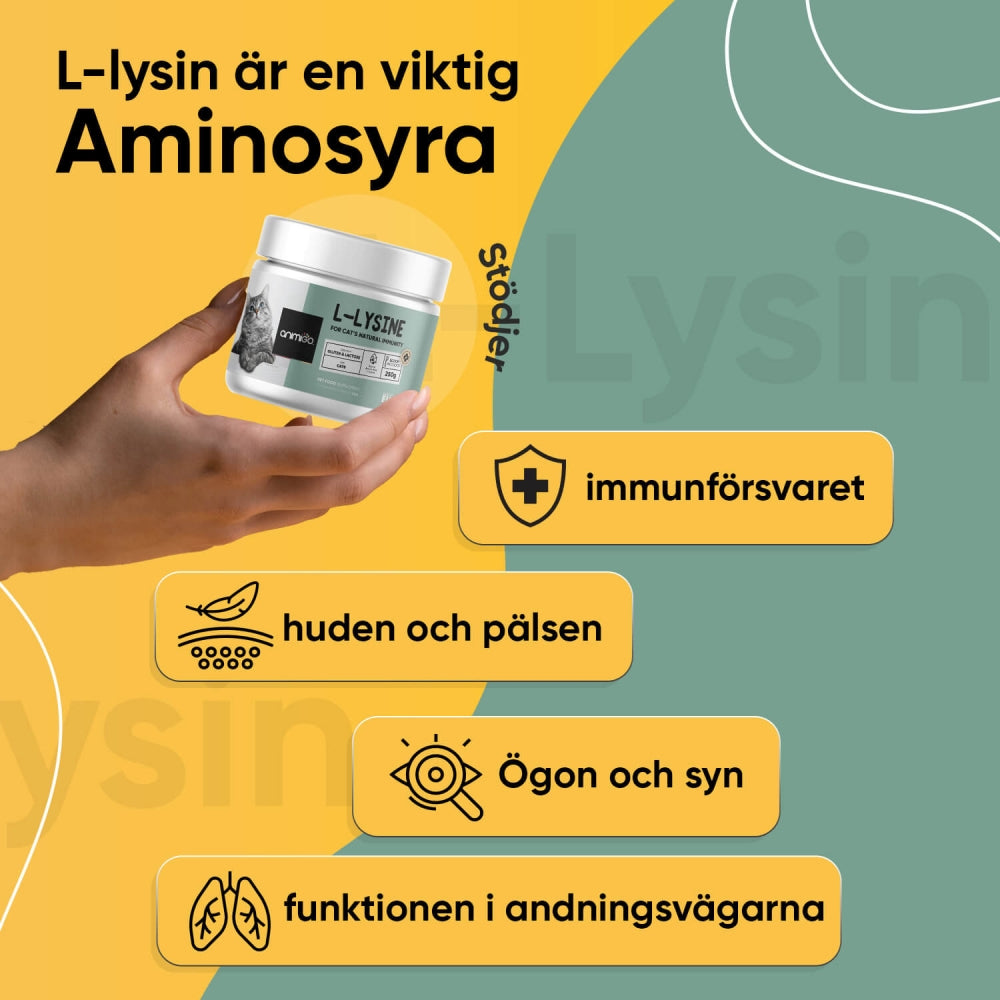 l-lysine-powder-se-2