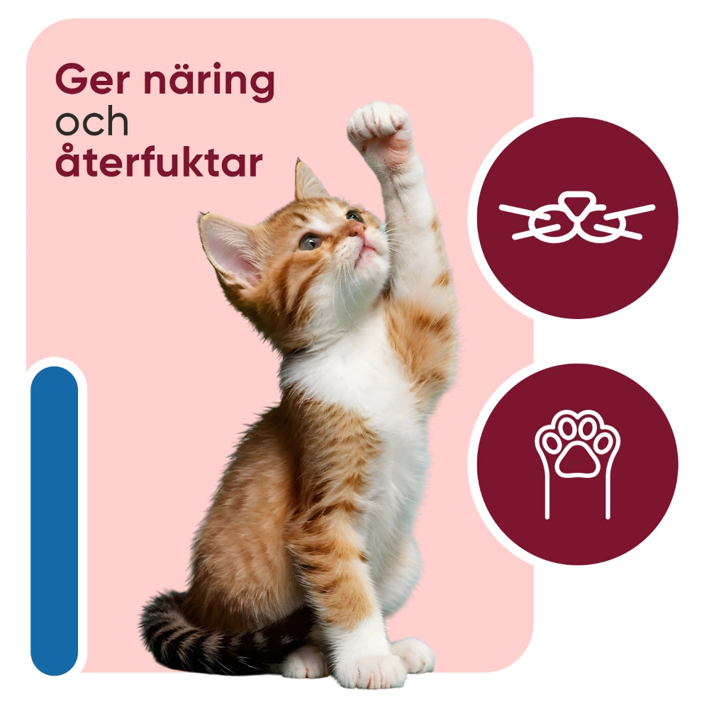 pets-paw-and-nose-for-cats-50ml-balm-se-3