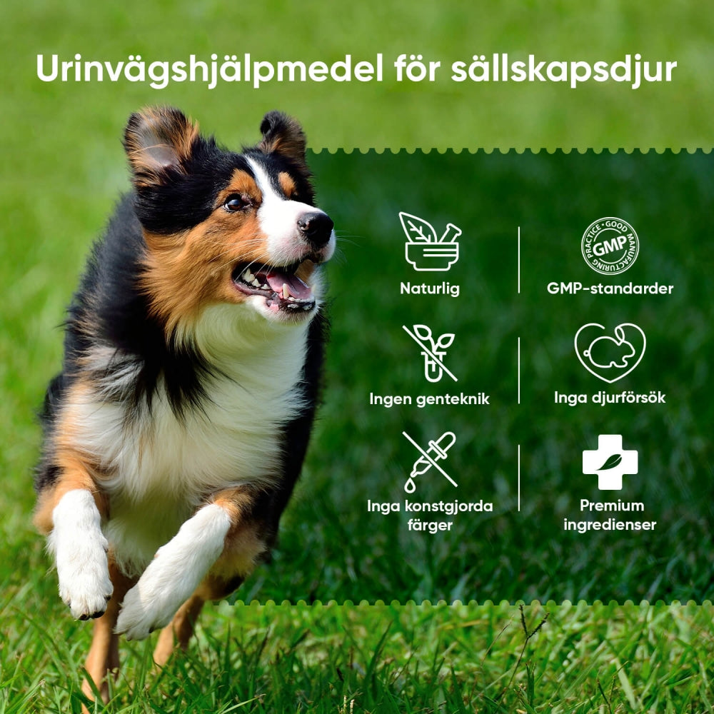 urinary-aid-tabs-se-4